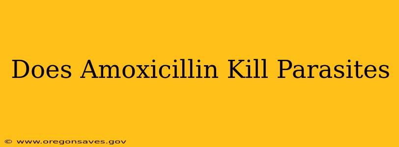Does Amoxicillin Kill Parasites