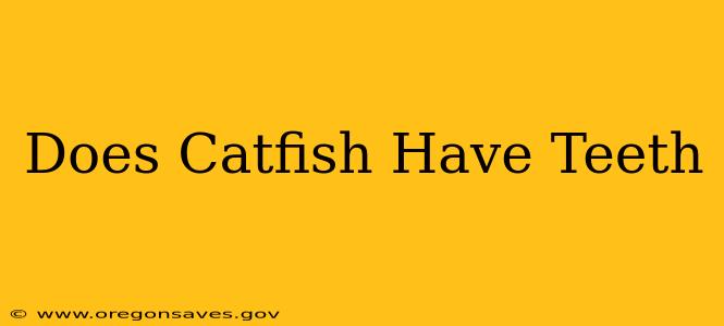 Does Catfish Have Teeth