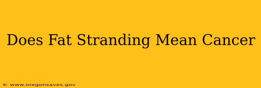 Does Fat Stranding Mean Cancer