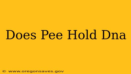 Does Pee Hold Dna