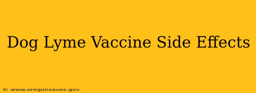 Dog Lyme Vaccine Side Effects
