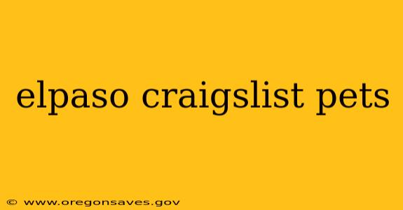 elpaso craigslist pets