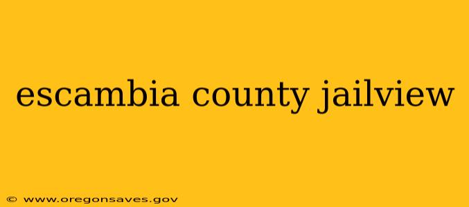 escambia county jailview