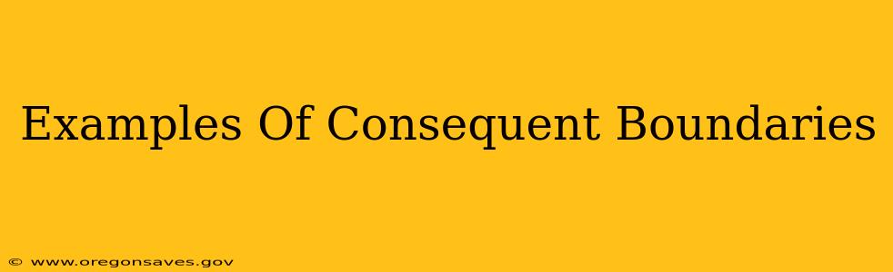 Examples Of Consequent Boundaries