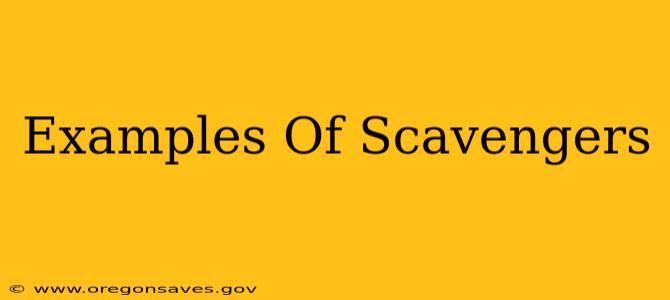 Examples Of Scavengers