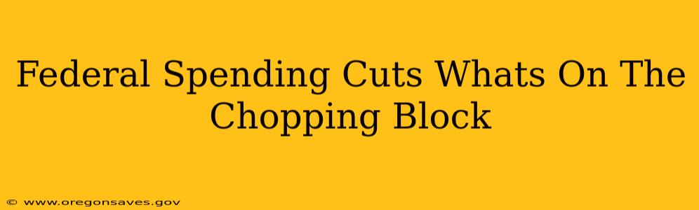 Federal Spending Cuts Whats On The Chopping Block