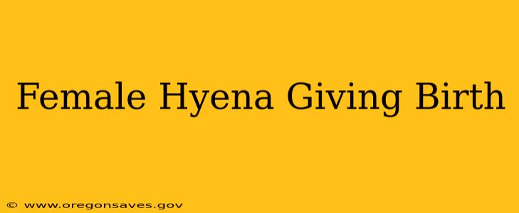 Female Hyena Giving Birth