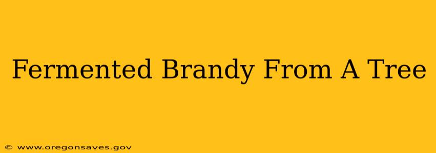 Fermented Brandy From A Tree