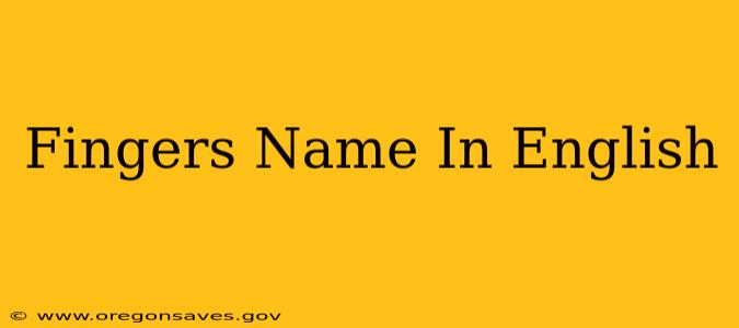 Fingers Name In English