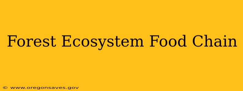 Forest Ecosystem Food Chain