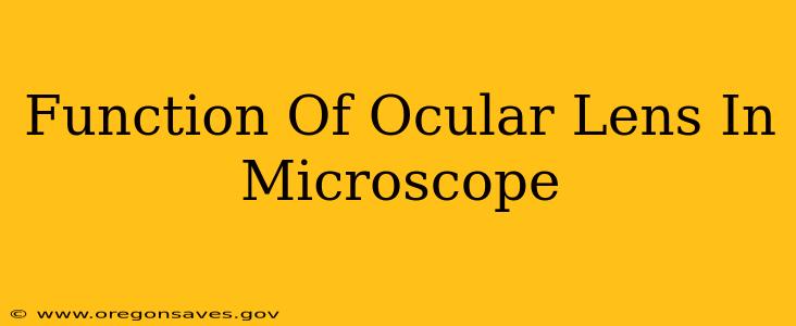 Function Of Ocular Lens In Microscope