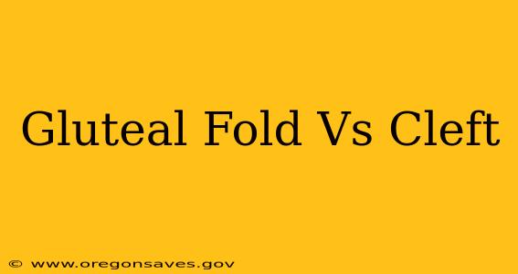 Gluteal Fold Vs Cleft