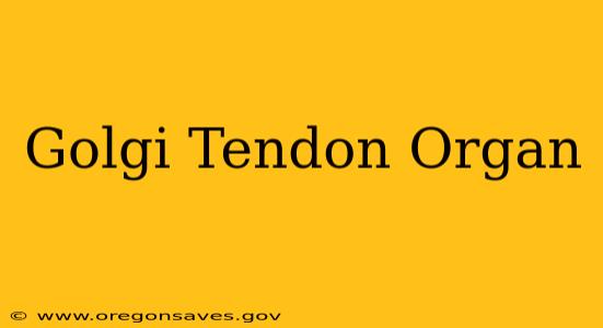 Golgi Tendon Organ