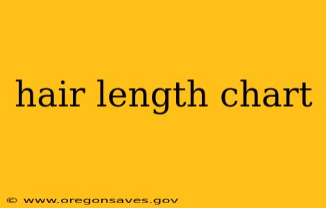 hair length chart