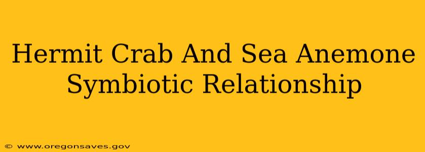 Hermit Crab And Sea Anemone Symbiotic Relationship