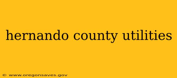 hernando county utilities
