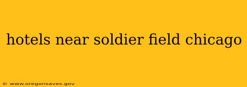 hotels near soldier field chicago