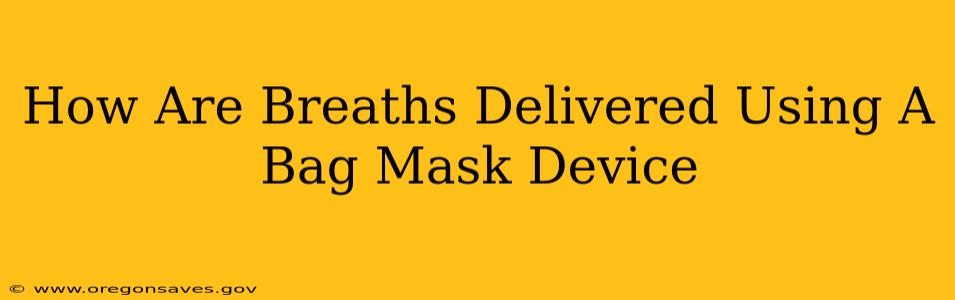 How Are Breaths Delivered Using A Bag Mask Device