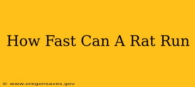How Fast Can A Rat Run