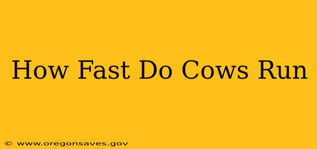 How Fast Do Cows Run