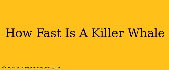 How Fast Is A Killer Whale