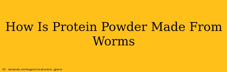 How Is Protein Powder Made From Worms