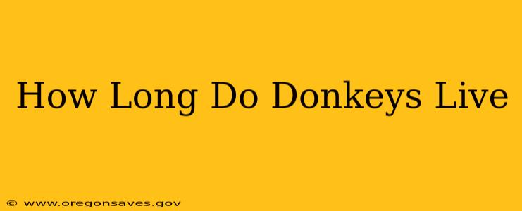 How Long Do Donkeys Live