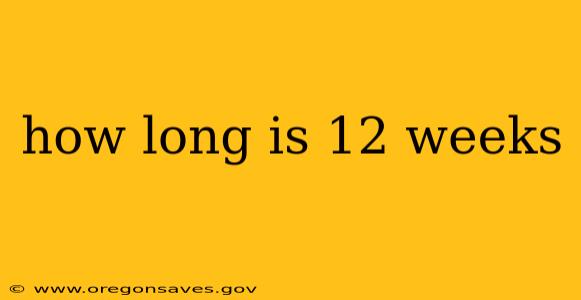 how long is 12 weeks