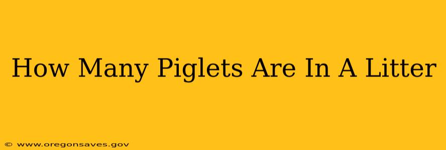 How Many Piglets Are In A Litter