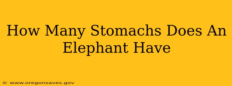How Many Stomachs Does An Elephant Have