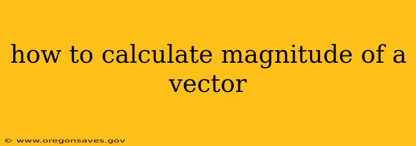 how to calculate magnitude of a vector