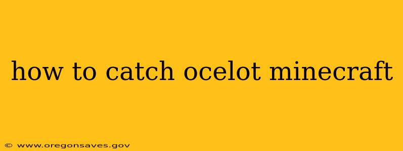 how to catch ocelot minecraft