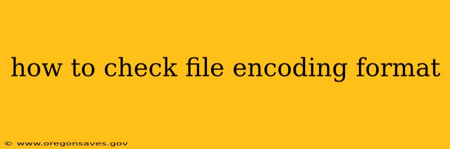 how to check file encoding format