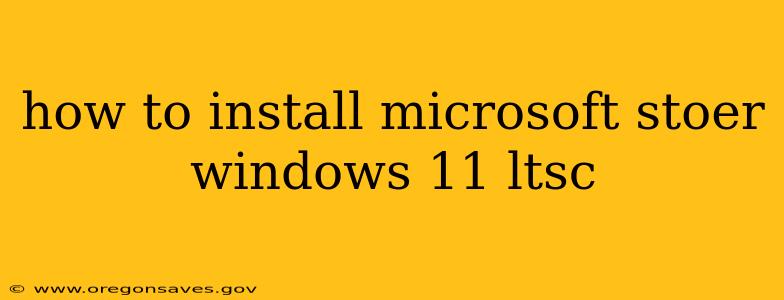 how to install microsoft stoer windows 11 ltsc