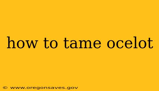 how to tame ocelot