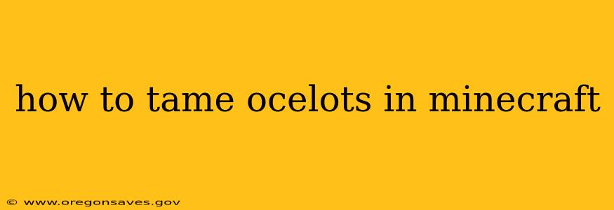how to tame ocelots in minecraft
