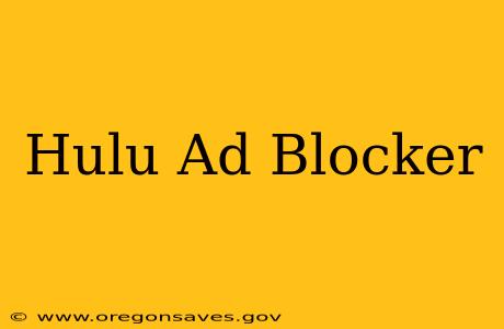 Hulu Ad Blocker