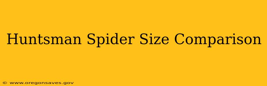 Huntsman Spider Size Comparison