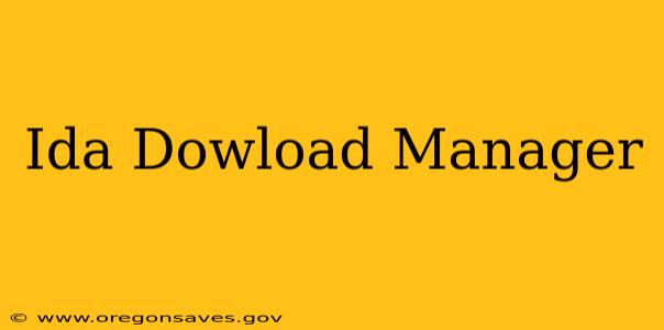 Ida Dowload Manager