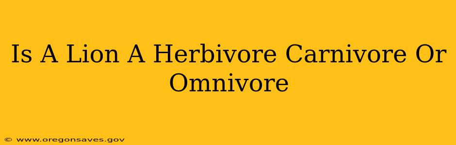Is A Lion A Herbivore Carnivore Or Omnivore