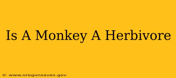 Is A Monkey A Herbivore