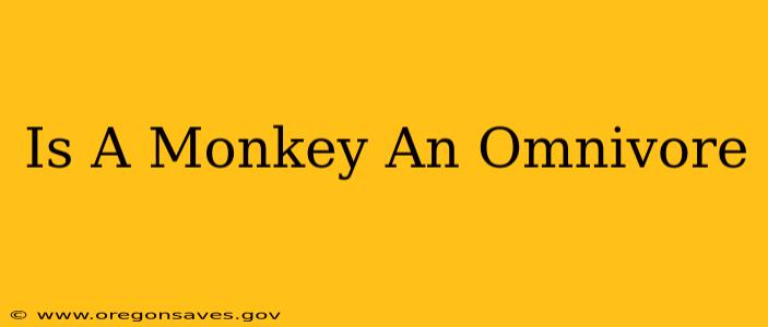 Is A Monkey An Omnivore