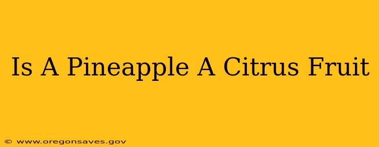Is A Pineapple A Citrus Fruit