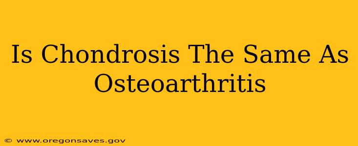 Is Chondrosis The Same As Osteoarthritis