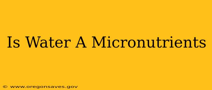 Is Water A Micronutrients