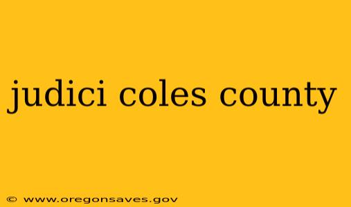 judici coles county