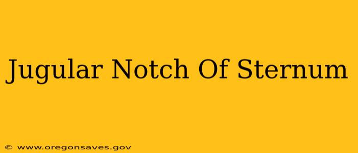 Jugular Notch Of Sternum