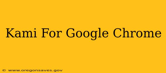 Kami For Google Chrome