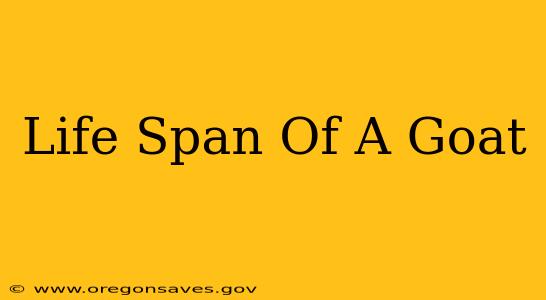Life Span Of A Goat