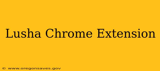 Lusha Chrome Extension